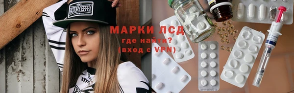 амф Бородино