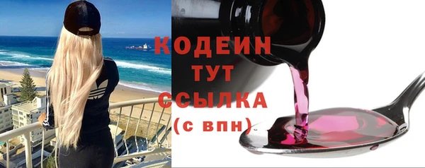 амф Бородино