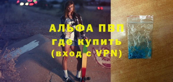 амф Бородино