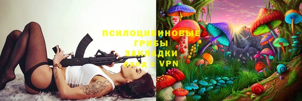 амф Бородино