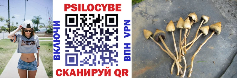 Купить  Кинель  Псилоцибиновые грибы GOLDEN TEACHER 